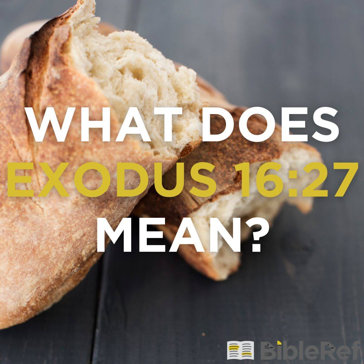 What does Exodus 1627 mean?