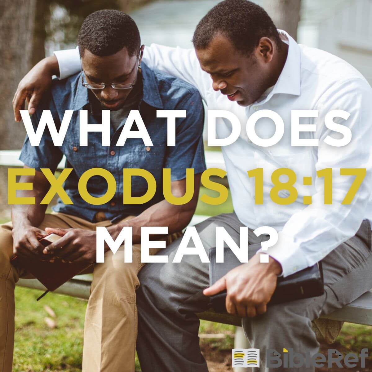 What Does Exodus 18 17 Mean Bibleref