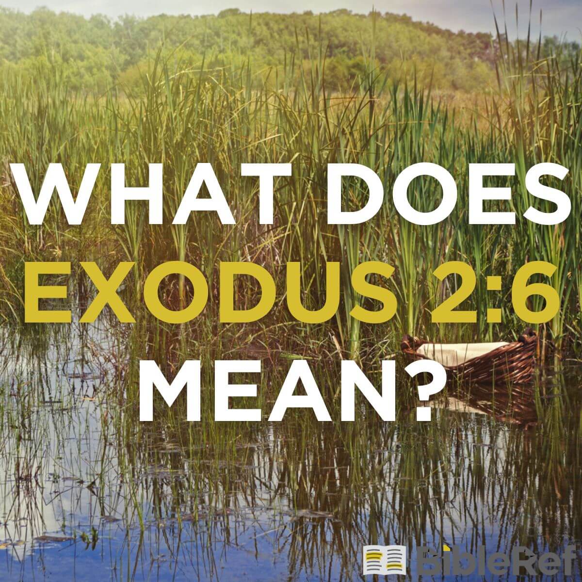 Exodus 6 reflection shop