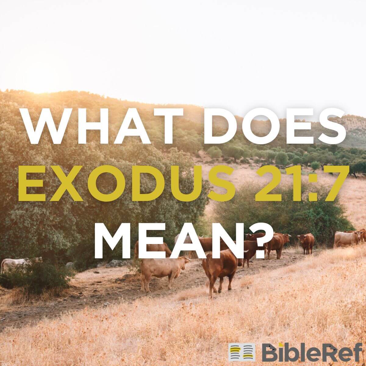 what-does-exodus-21-7-mean-bibleref