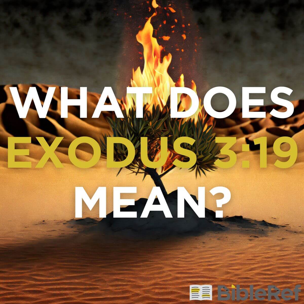 What Does Exodus 3 19 Mean Bibleref