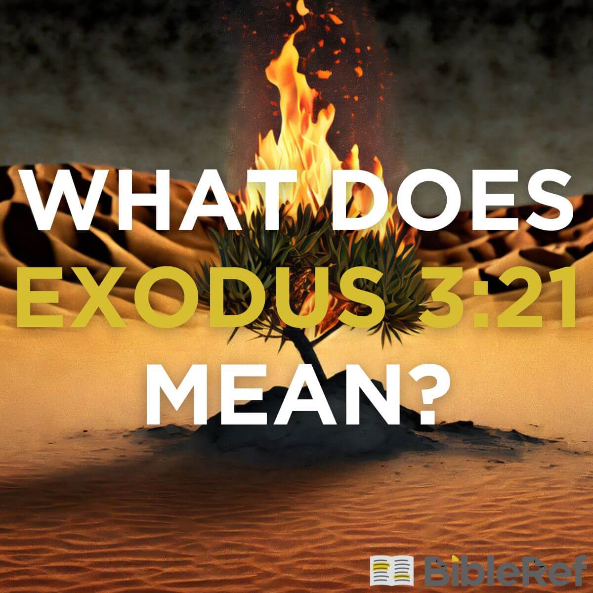 What Does Exodus 3 21 Mean BibleRef What Does Exodus 3 21 Mean BibleRef