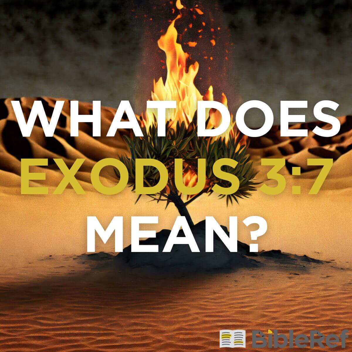 Exodus 6 3-7 shop