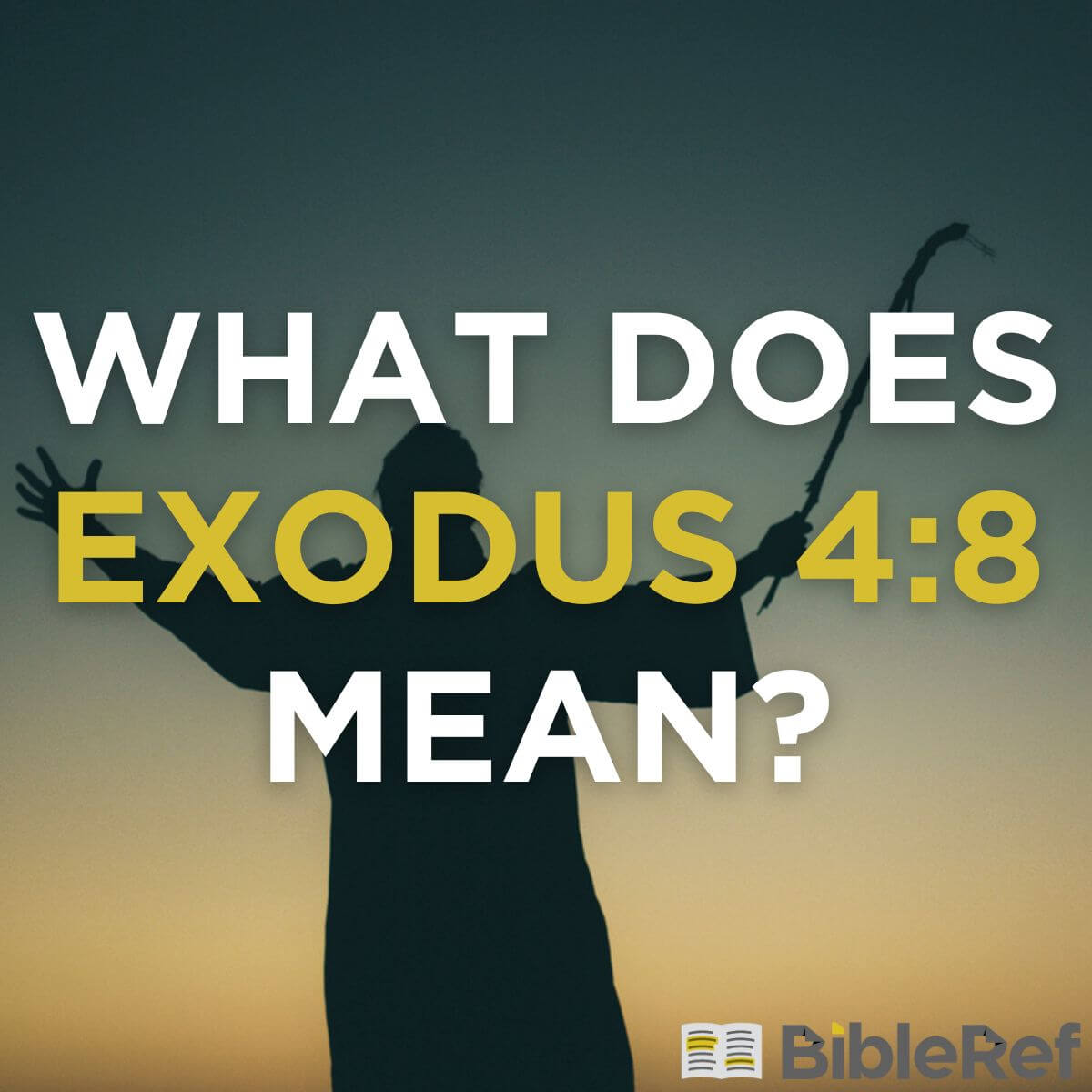 Exodus 6 4-8 clearance