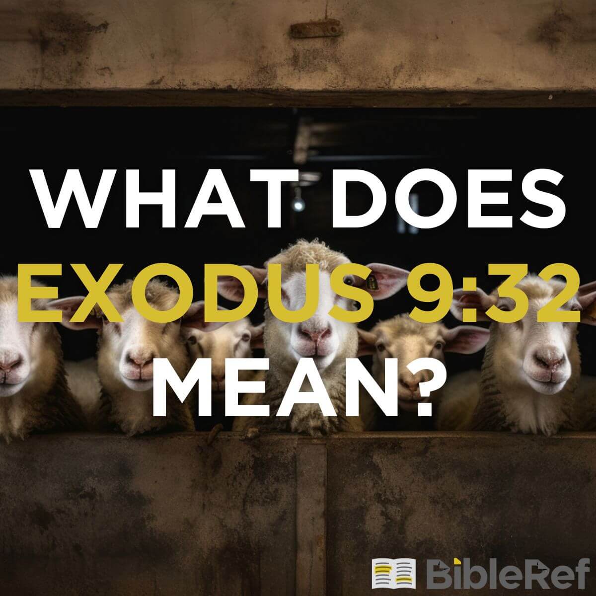 What Does Exodus 9 32 Mean Bibleref