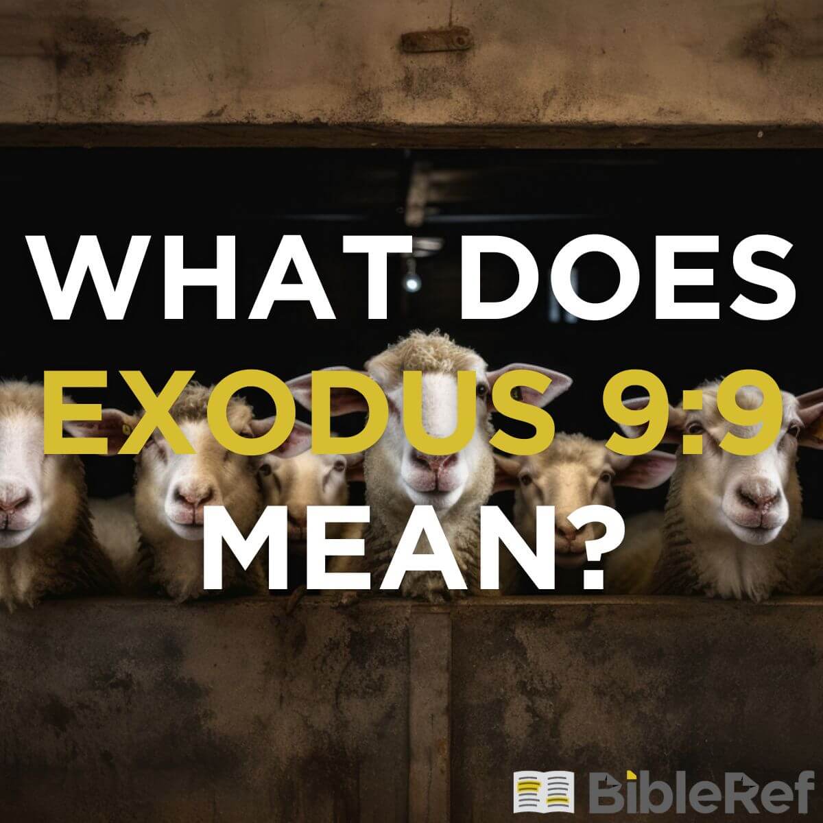 What Does Exodus 9 9 Mean Bibleref