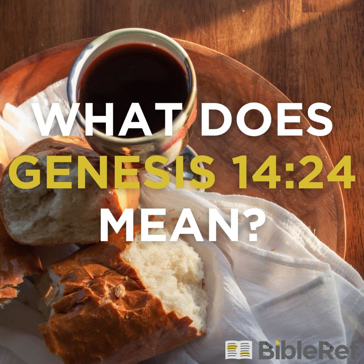 genesis 14 - 24 explained