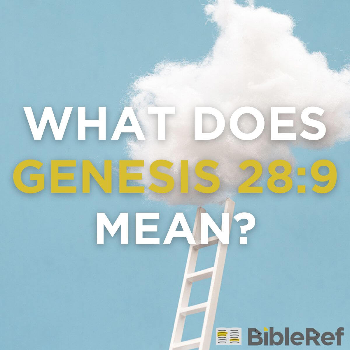 genesis 28 5 9
