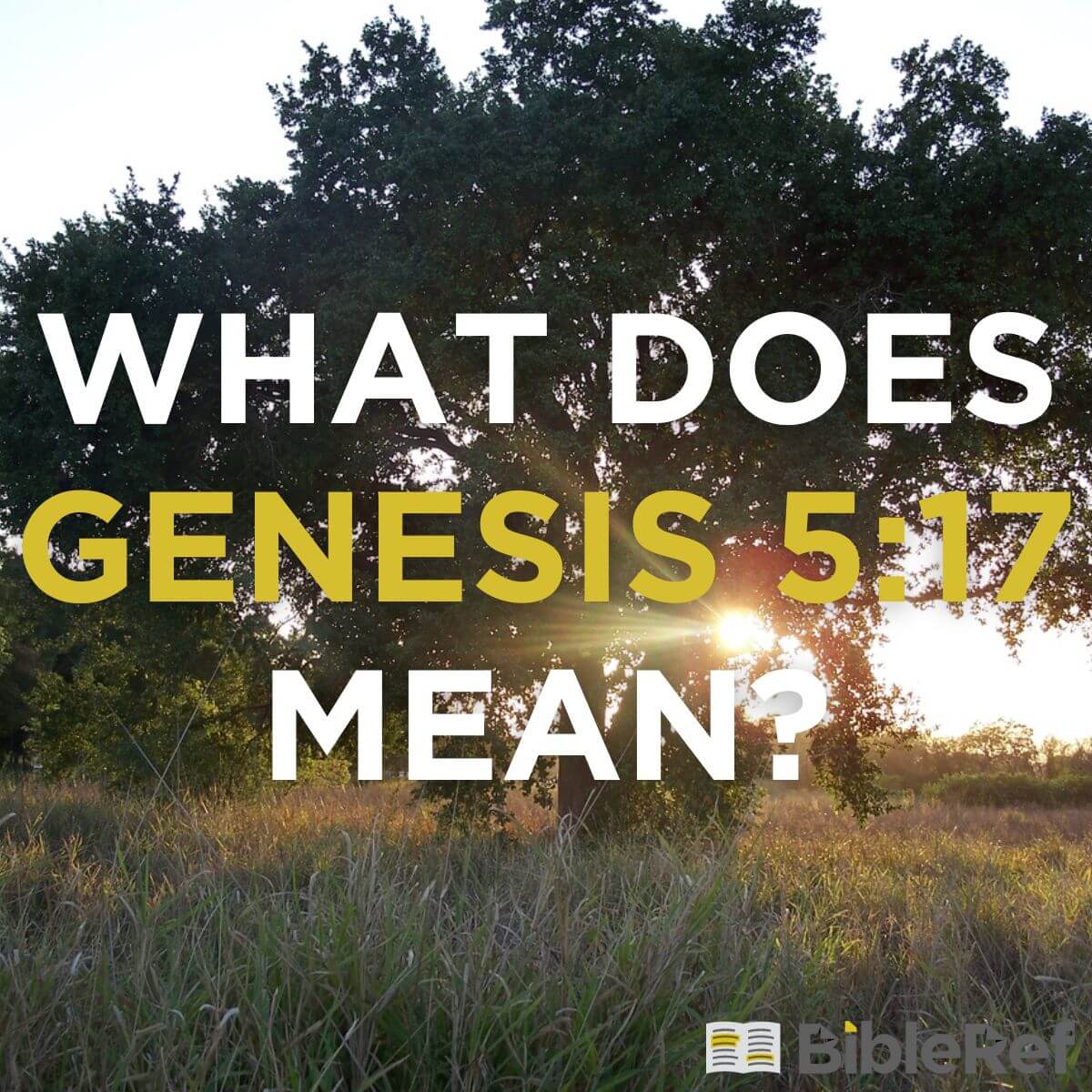 genesis 17 5 esv