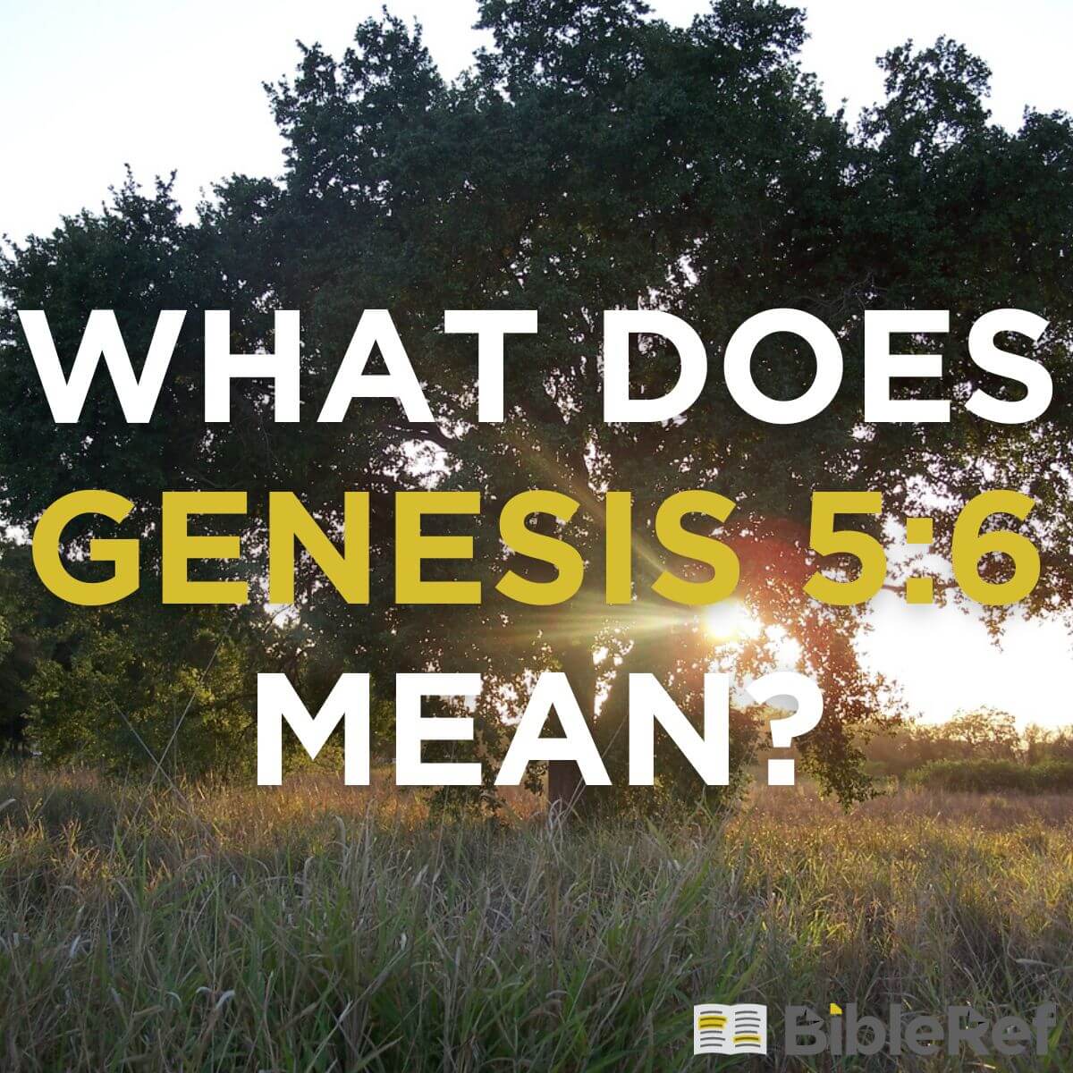 explicacion de genesis 6 5