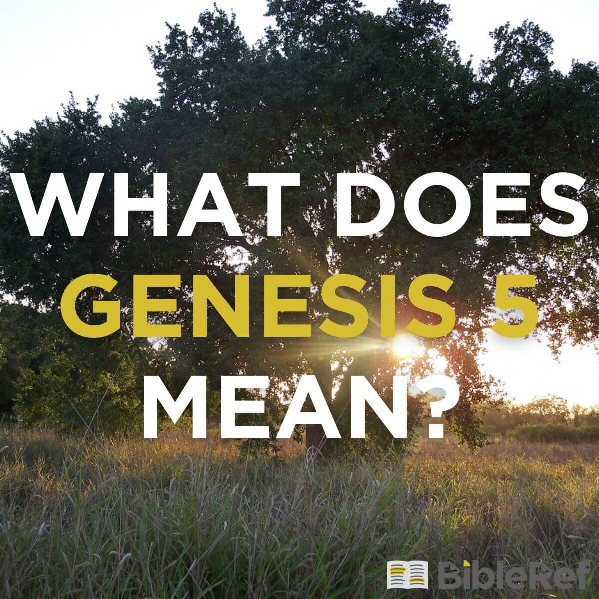 genesis chapter 5