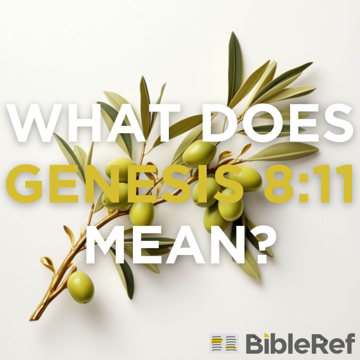 genesis 6 8 11