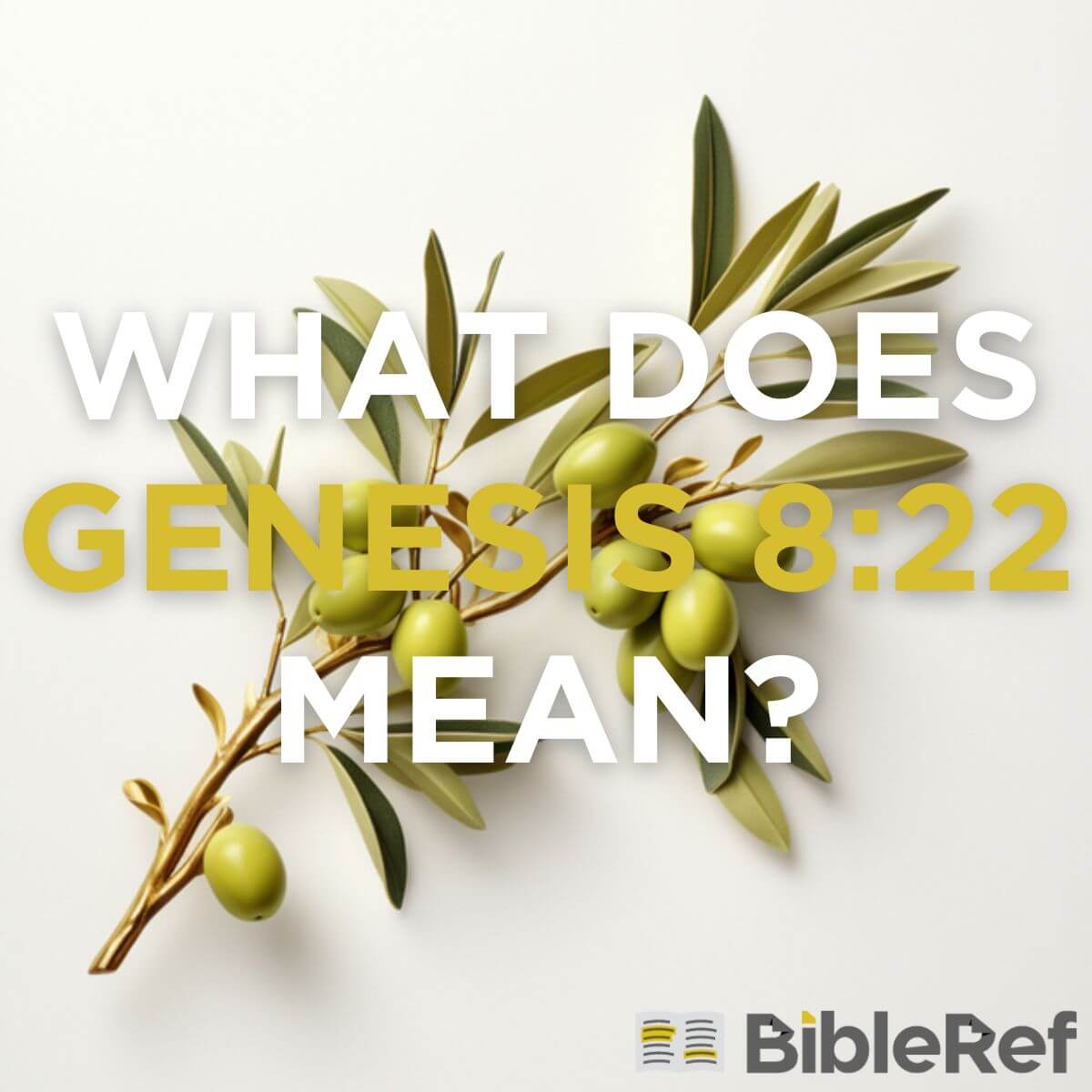 What Does Genesis 8 22 Mean BibleRef what-does-genesis-8-22-mean-bibleref