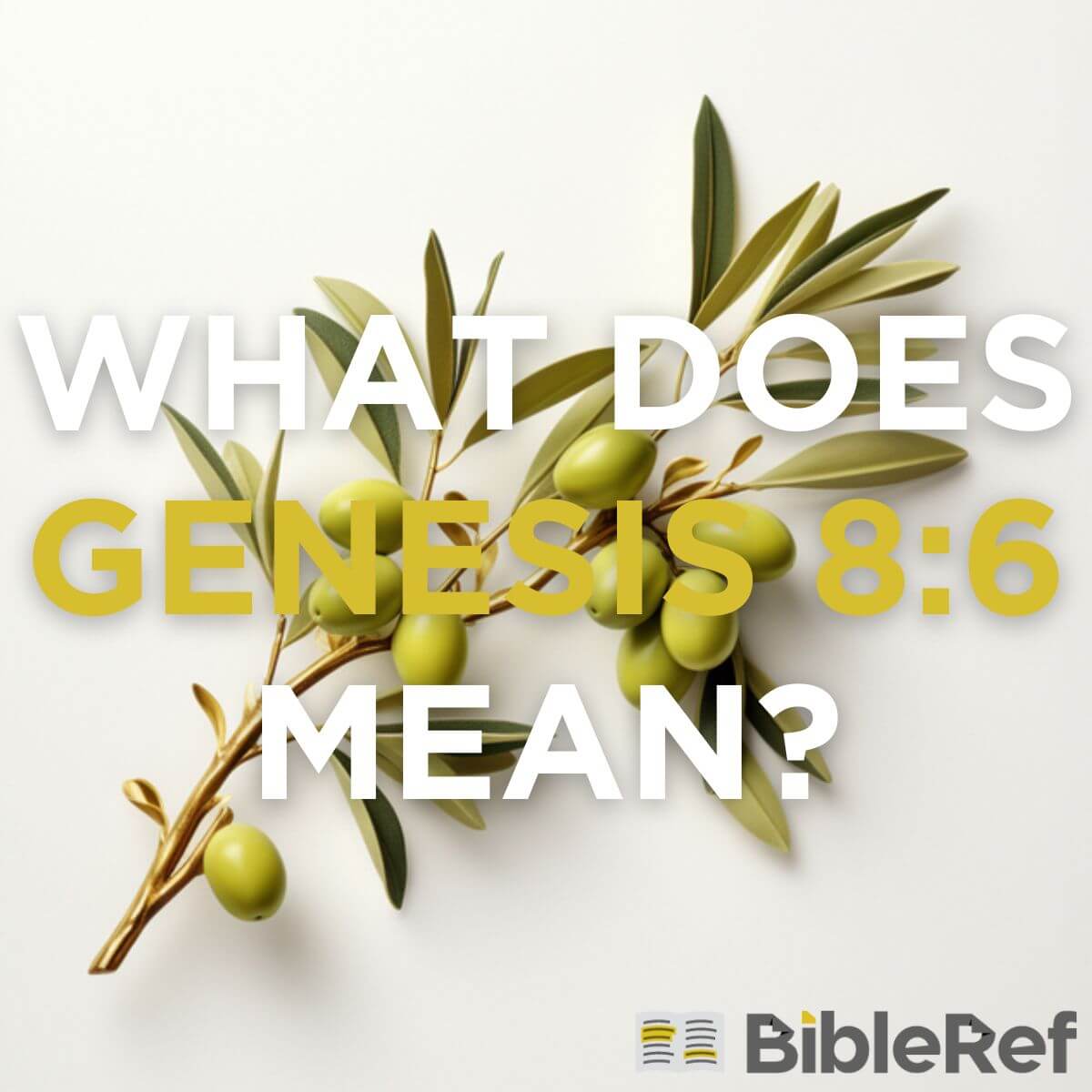 genesis 6 8